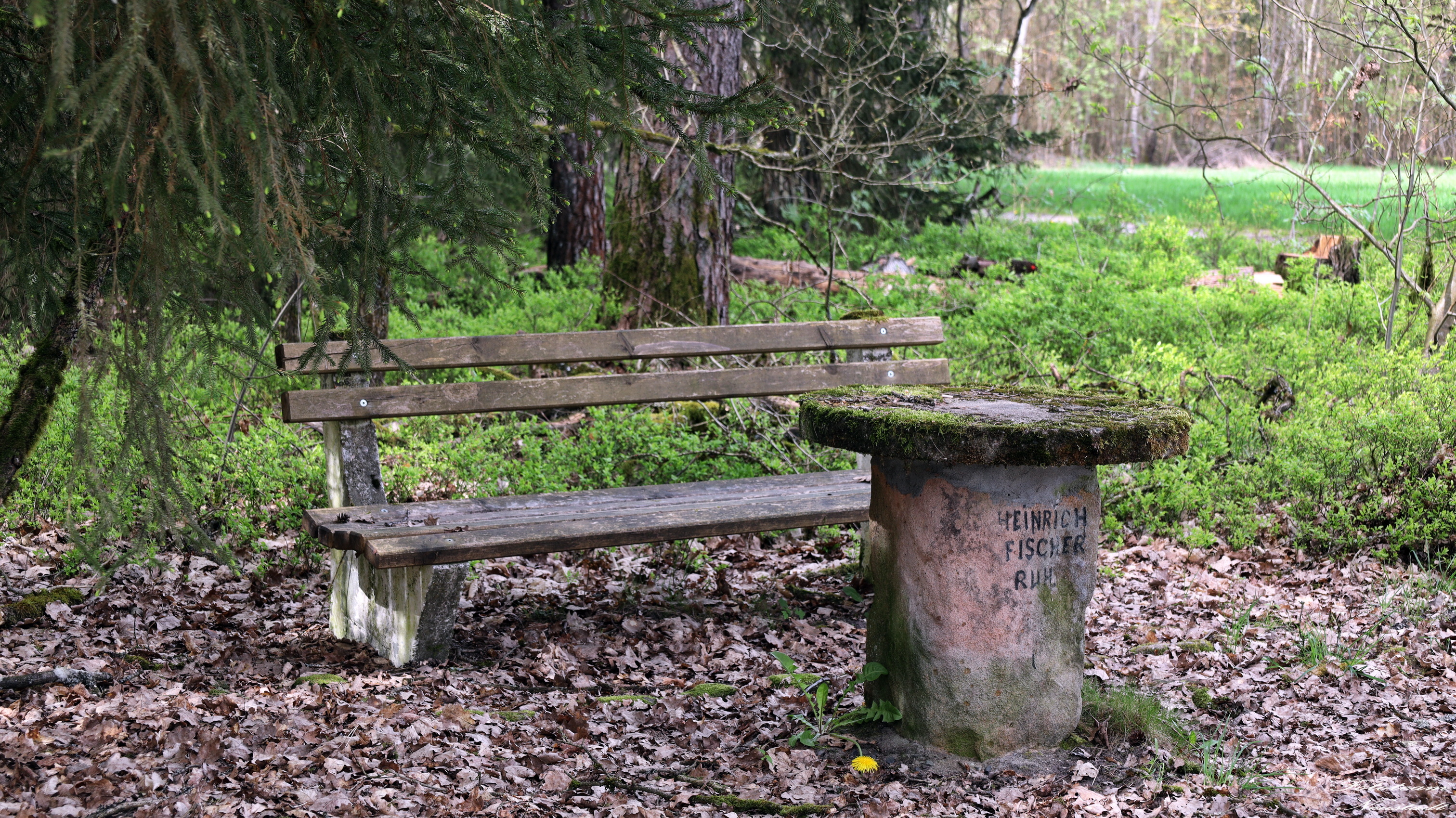 Heinrichfischer-ruh
