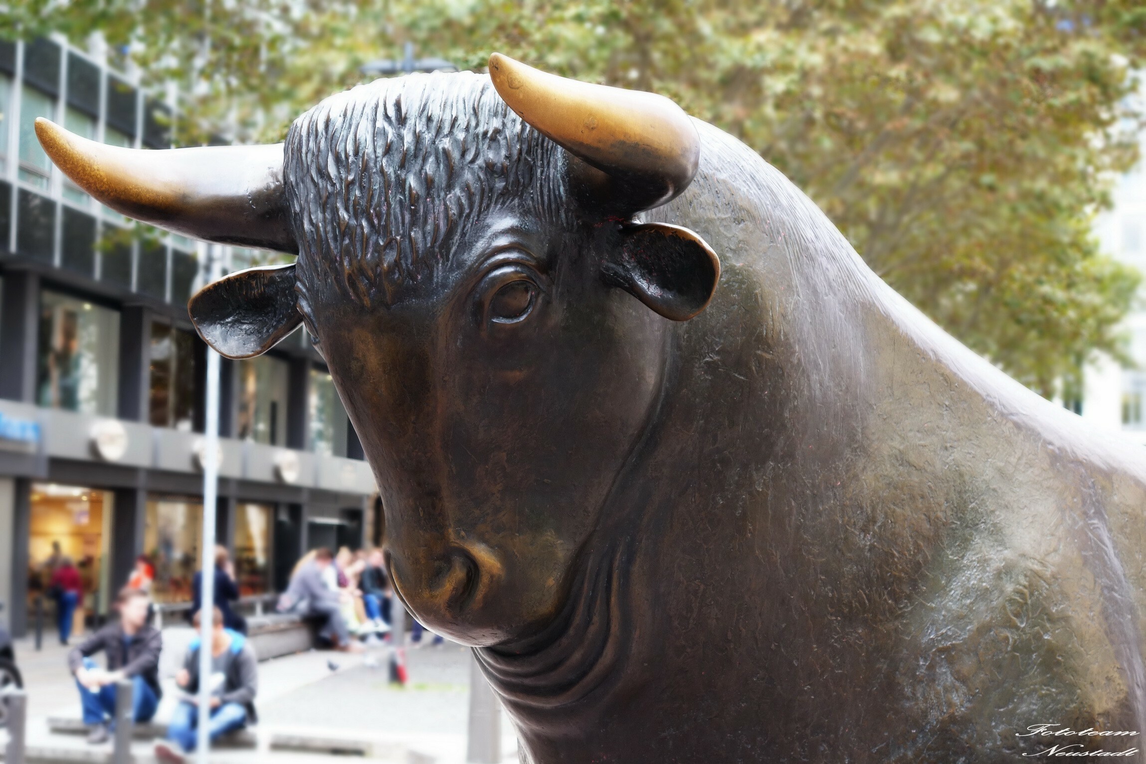 Der Bulle an der Börse