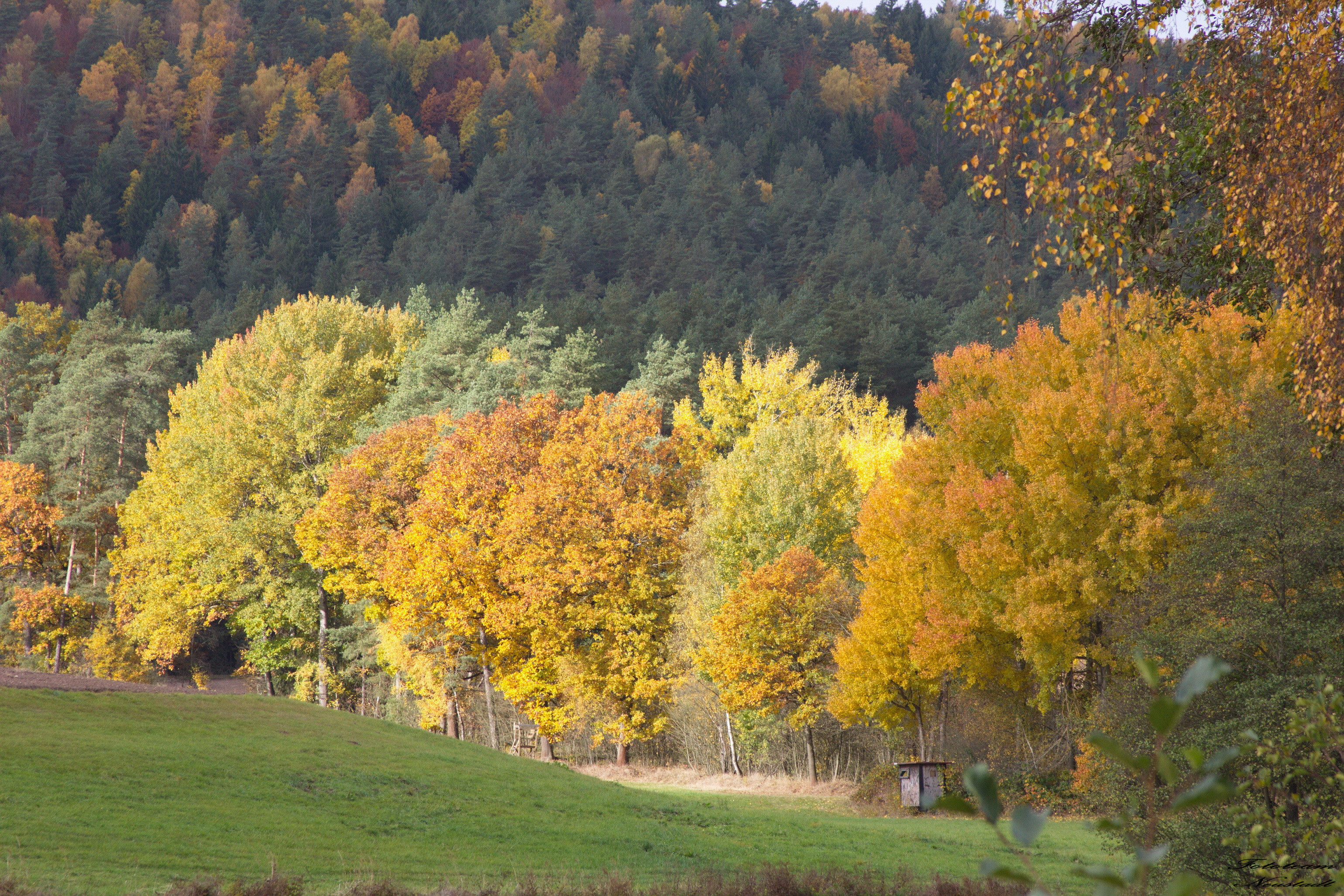 Ketschenbach im Herbstkleid