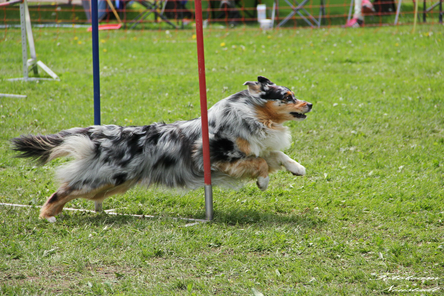 Agility Ketschenbach