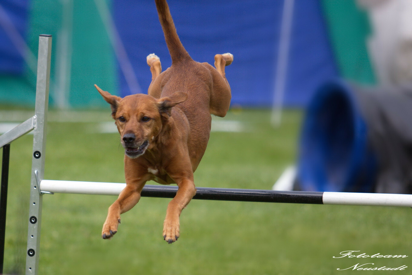 Agility Ketschenbach