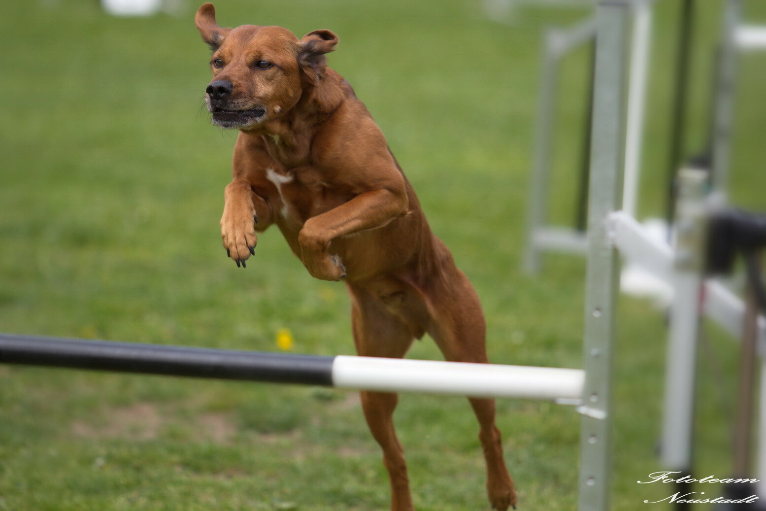 Agility Ketschenbach
