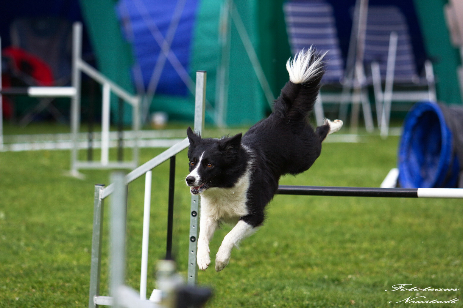 Agility Ketschenbach