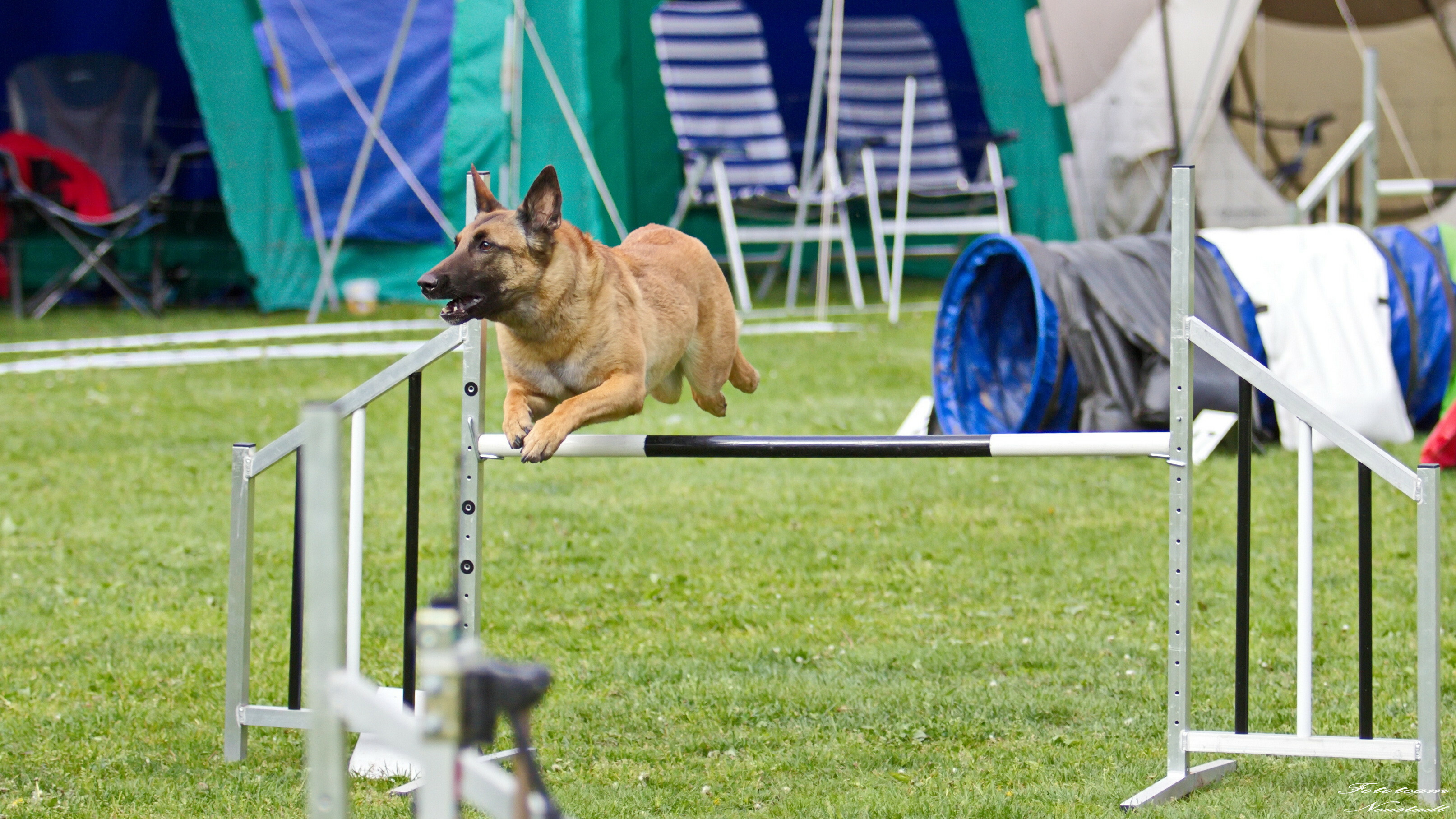 Agility Ketschenbach