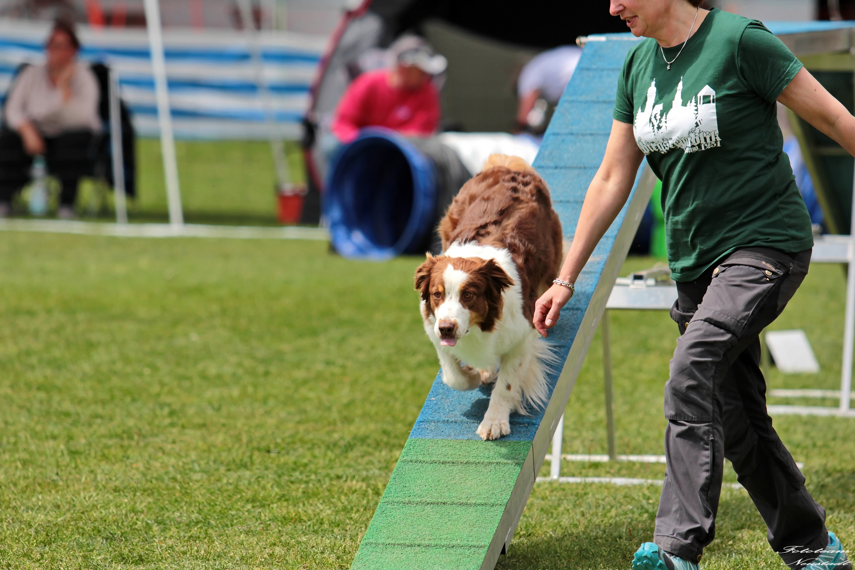 Agility Ketschenbach
