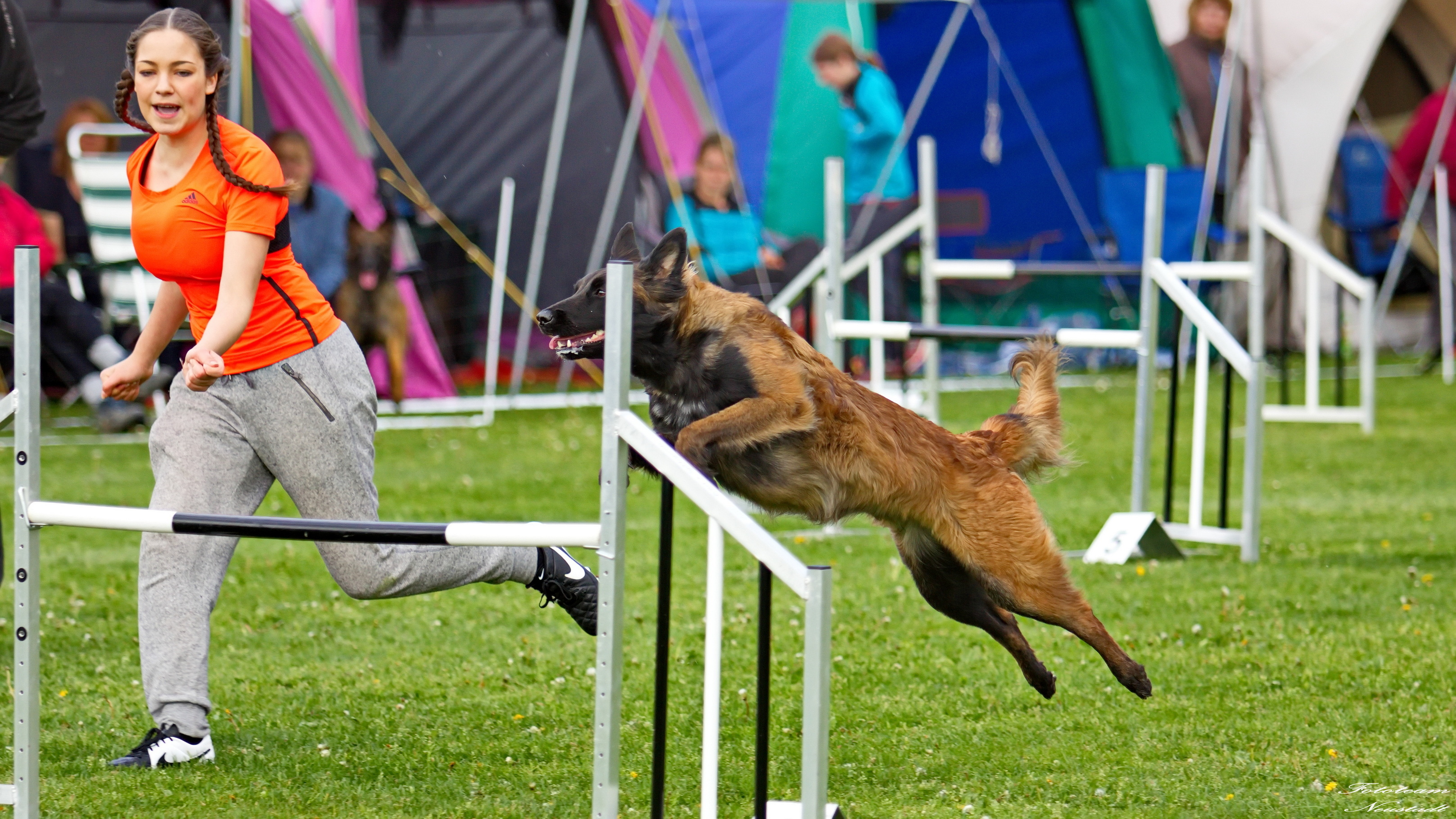 Agility Ketschenbach