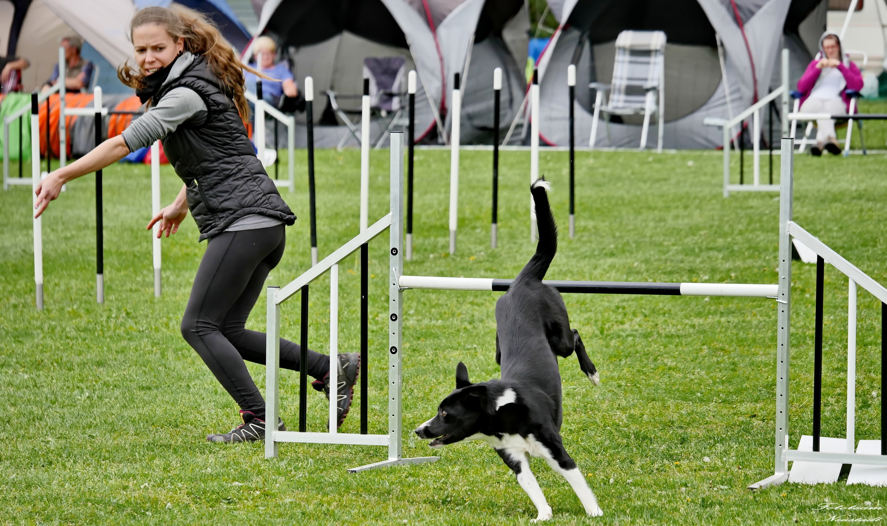Agility Ketschenbach