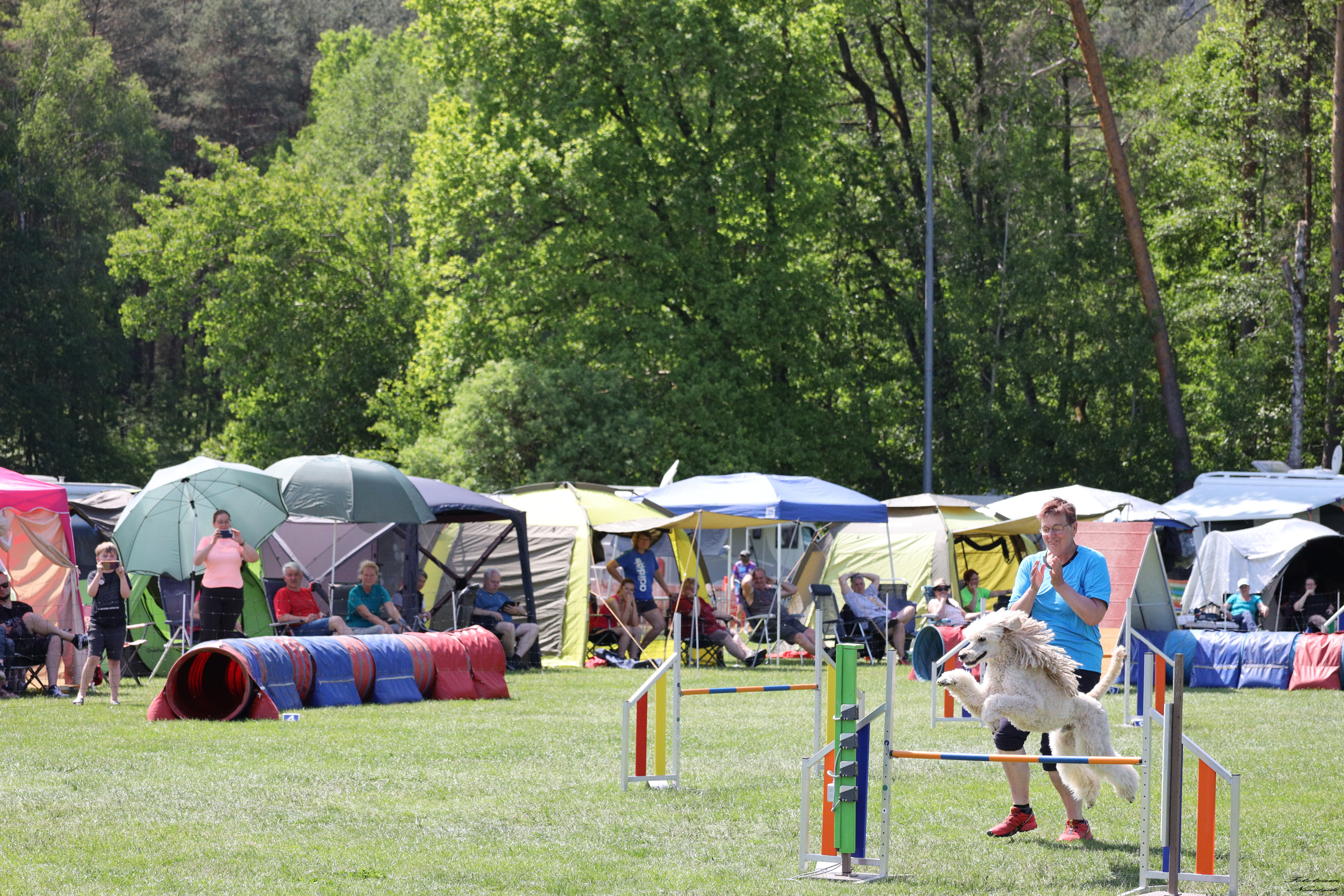 Agility Ketschenbach 2023