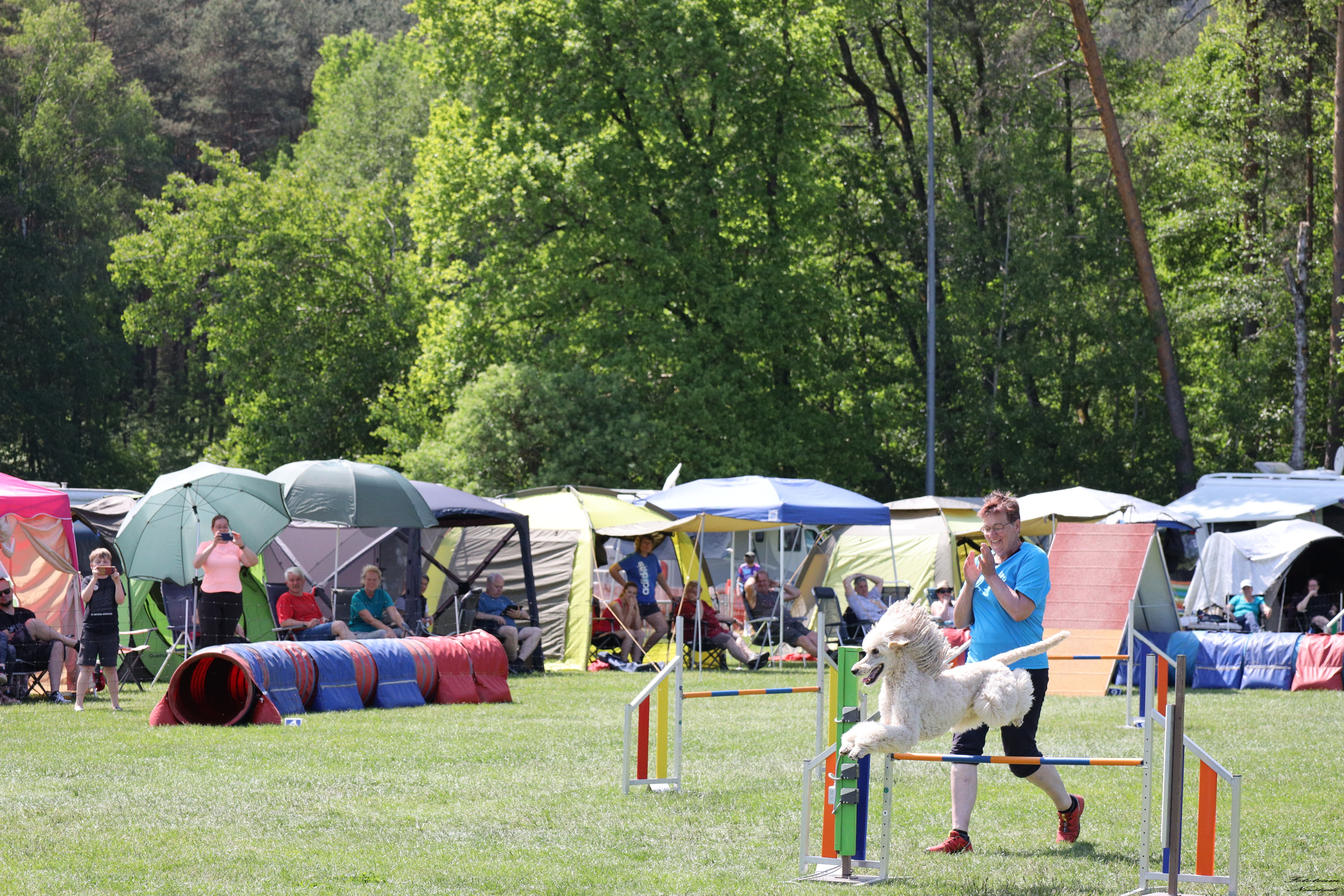 Agility Ketschenbach 2023