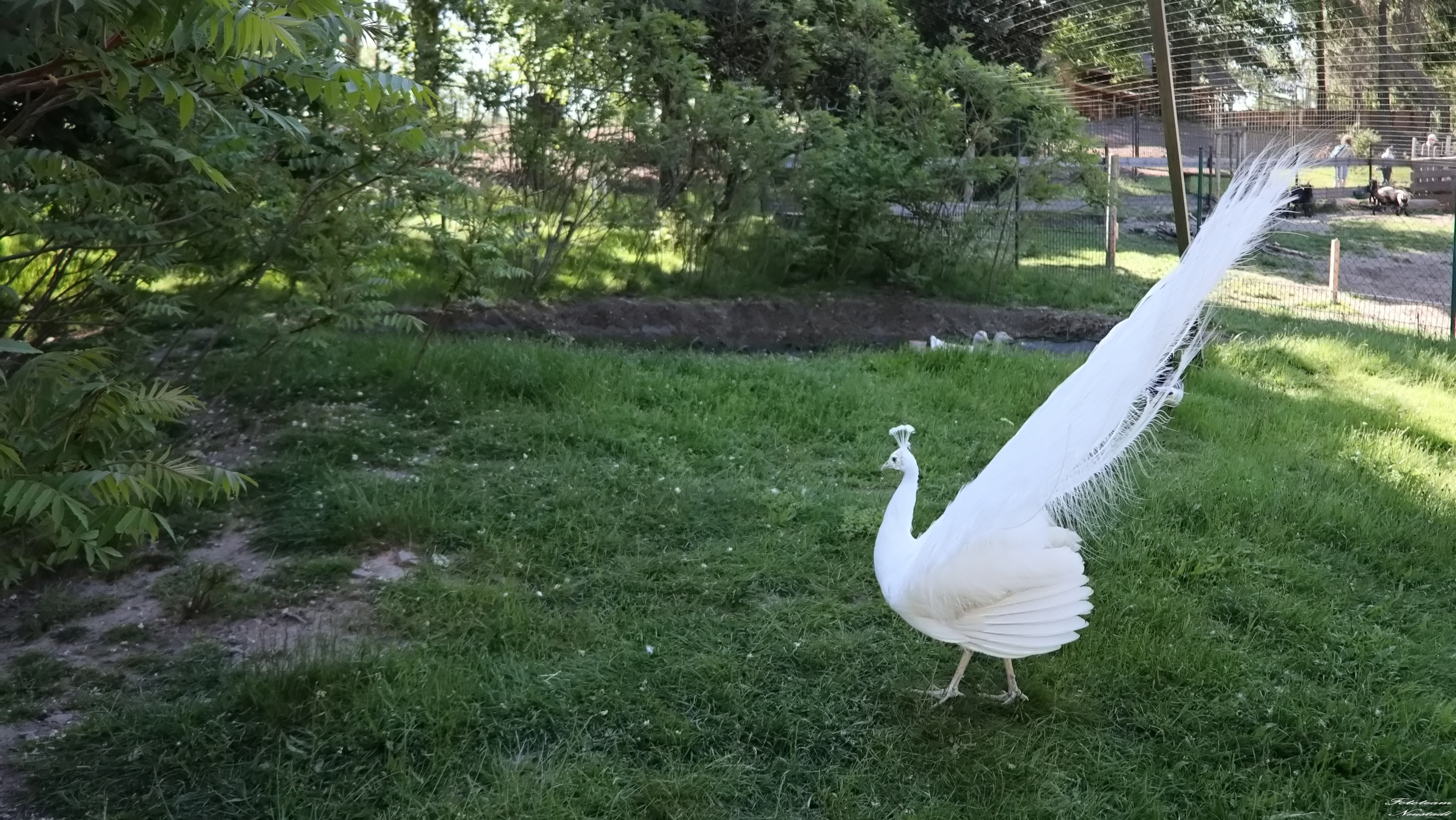 Tiergarten Sonneberg /OT Neufang