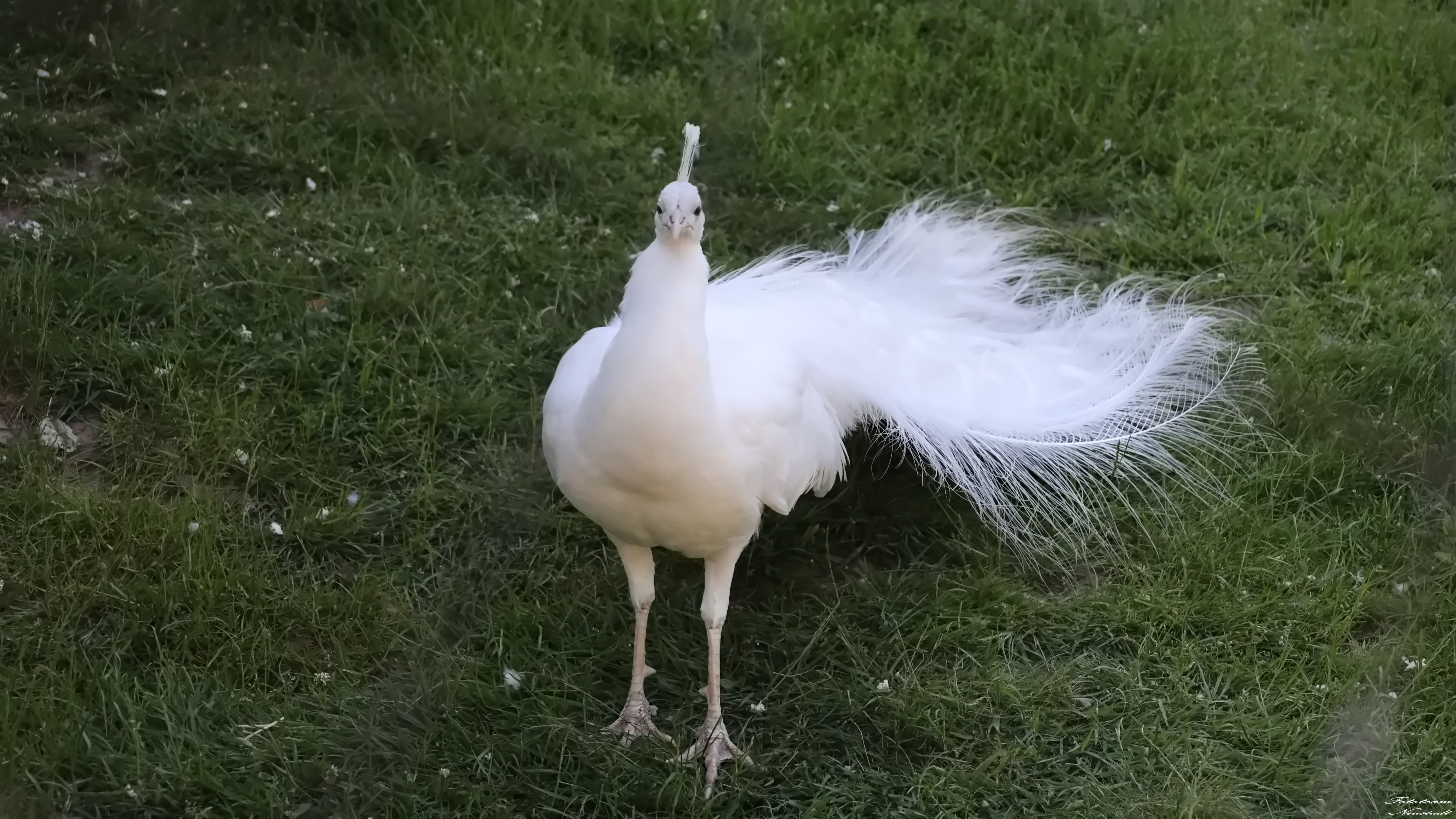 Tiergarten Sonneberg /OT Neufang