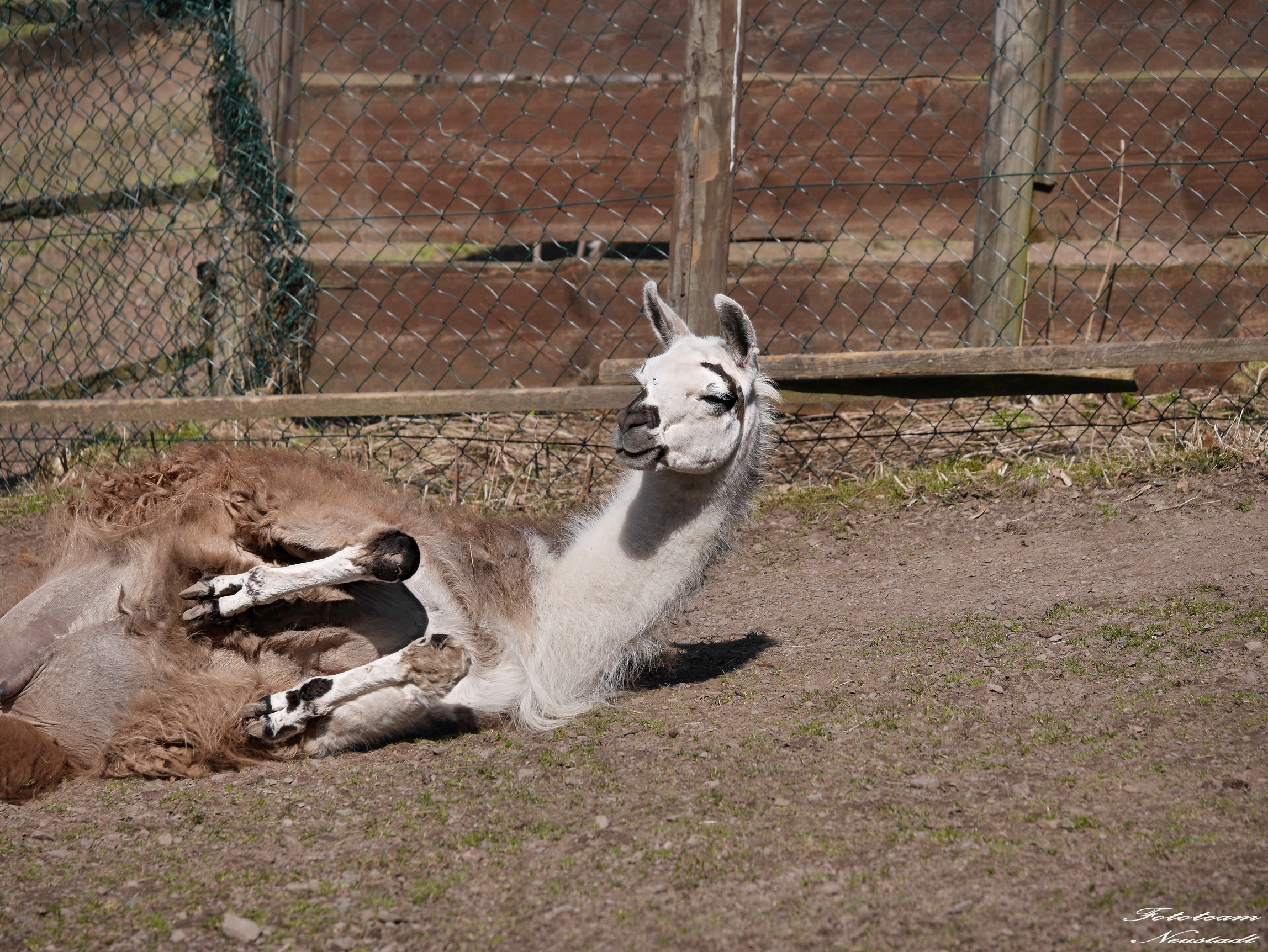 Tiergarten Sonneberg