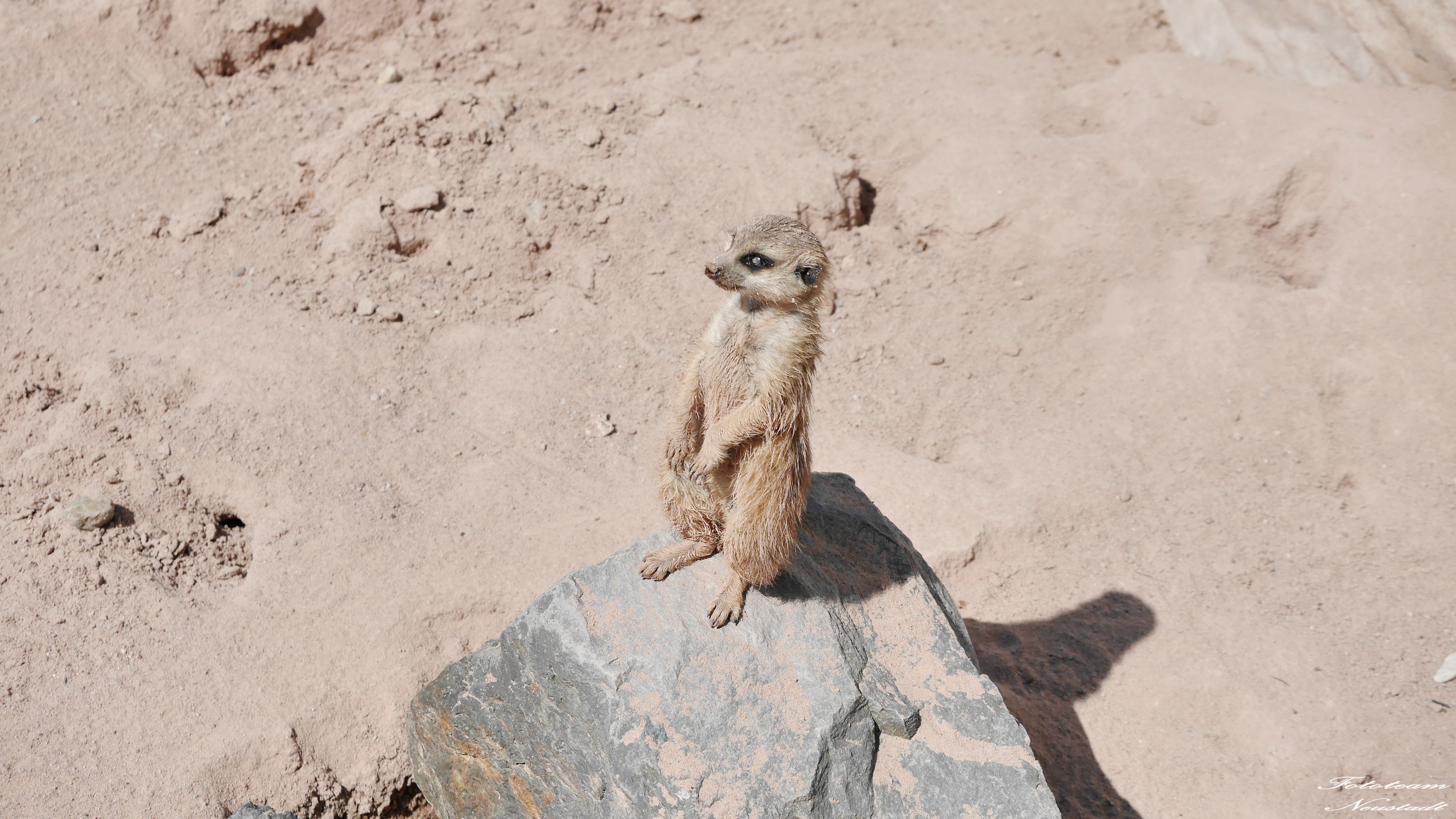 Tiergarten Sonneberg