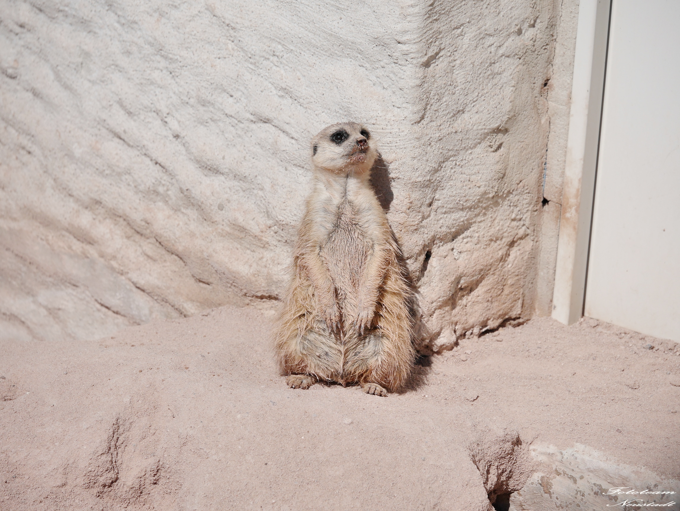 Tiergarten Sonneberg