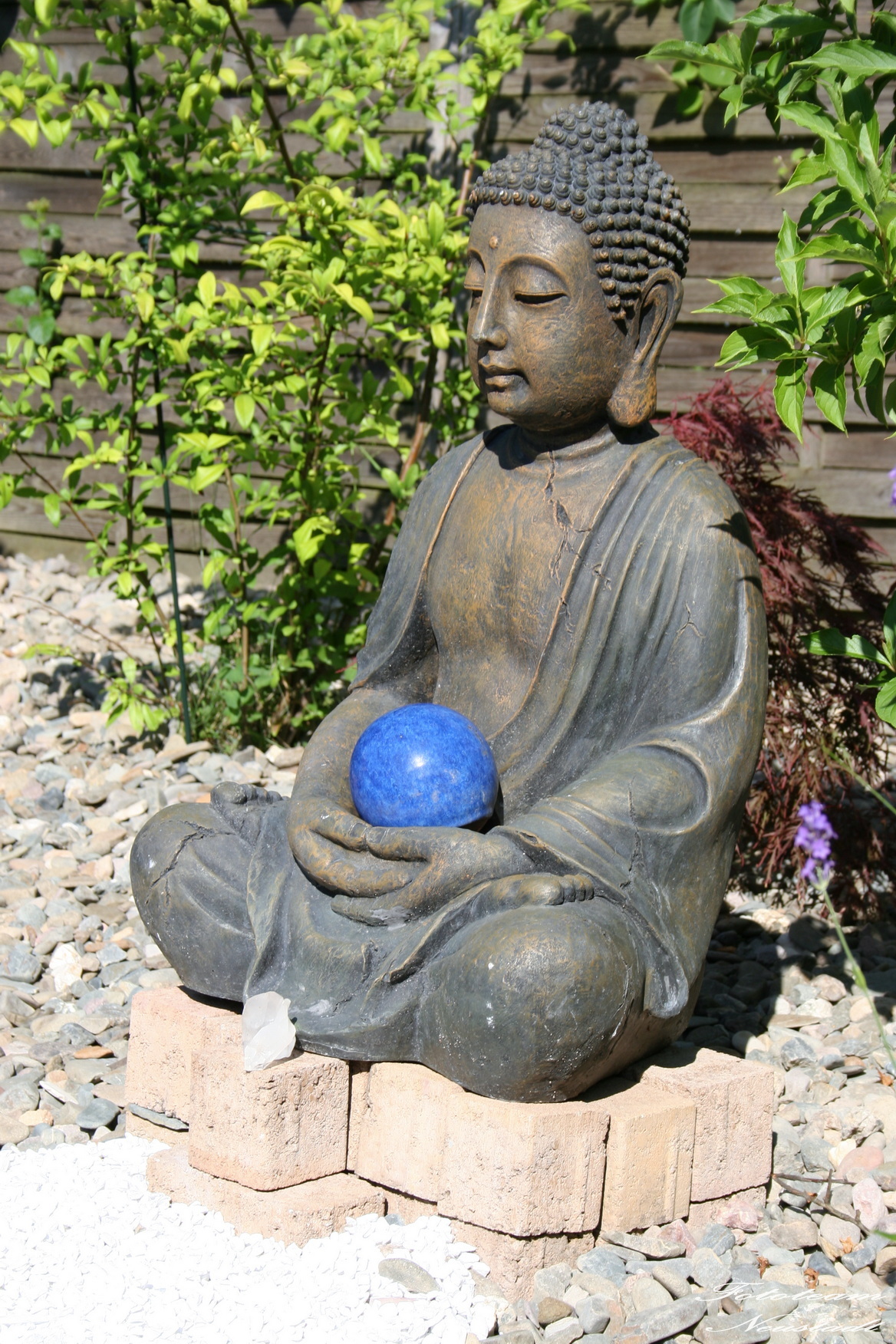Buddha