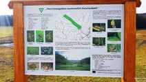 Ketschenbach Neuwiesengraben