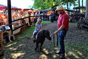 Reiten
